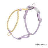 FlexGuard Vest-Style Harness Package