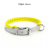 PVC chest and back pet leash collar