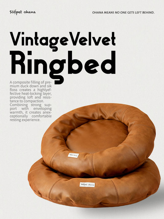 Pictures of Hope: The True Story of Pet Rescue