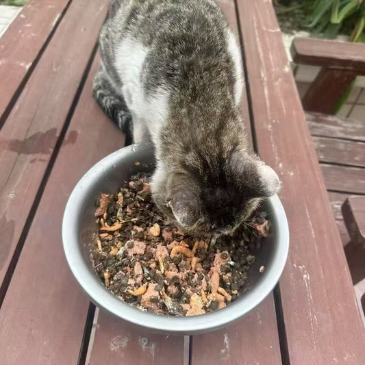 Pictures of Hope: The True Story of Pet Rescue