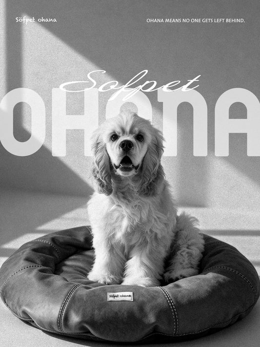 Sofpetohana, more than just a product.