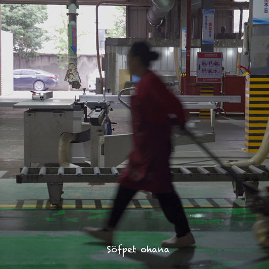 Inside the Craftsmanship: A Look into the Birthplace of Sofpet Ohana