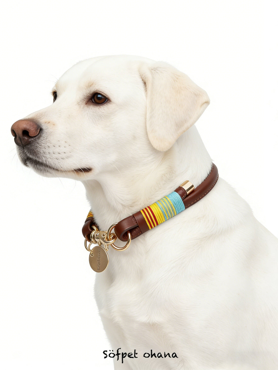 Pet collars and leashes