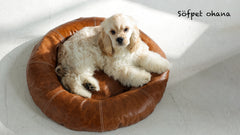 VintageVelvet Ringbed